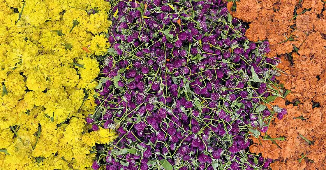 trivandrum-flowers-pic trivandrum-flowers-pic