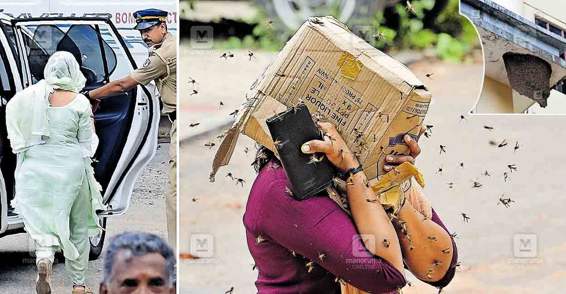 civil-station-honey-bee-attack-tvm