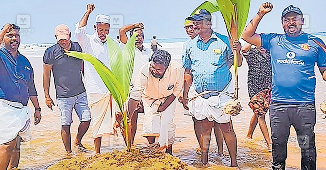 muthala-pozhi അഞ്ചുതെങ്ങ് മുതലപ്പൊഴി അഴിമുഖ മുനമ്പിൽ മണൽതിട്ടകൾ രൂപപ്പെട്ടു മത്സ്യബന്ധനം തടസ്സപ്പെട്ടതിൽ തുറമുഖ വകുപ്പധികൃതർ നടപടിയെടുക്കാത്തതിനെ തുടർന്ന് യുഡിഎഫ് പ്രവർത്തകർ തെങ്ങിൻതൈകൾ നട്ടു പ്രതിഷേധിക്കുന്നു. എം.ജെ.ആനന്ദ്, സുനിൽ പെരുമാതുറ, നാസ്ഖാൻ, അൻസർ പെരുമാതുറ, സുനിൽ മുസല്യാർ എന്നിവർ സമീപം.