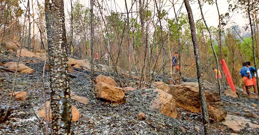 thrissur-kottambathoor-forest thrissur-kottambathoor-forest