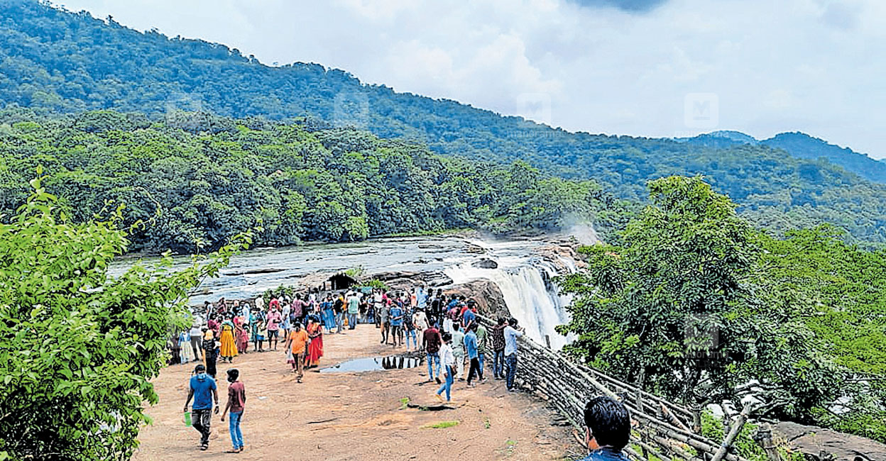 ഒരു പഞ്ചായത്ത് മുഴുവൻ ബഫർസോണിൽ, അതിരപ്പിളളിയിലെ 2653 വീടുകൾ; വനംവകുപ്പ്