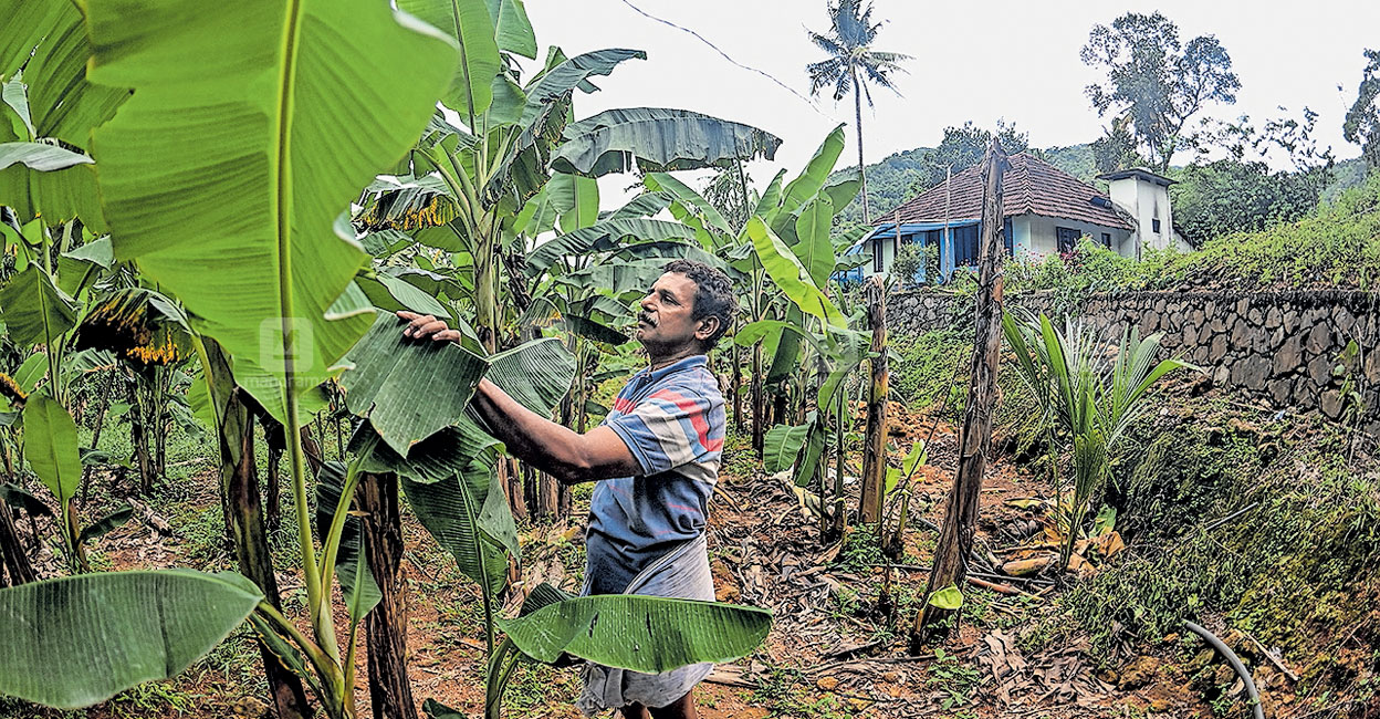 ബഫർസോൺ എങ്ങനെ ബാധിക്കും? പാരിസ്ഥിതിക അനുമതി വേണ്ടിവരുന്നത് എന്തിനെല്ലാം