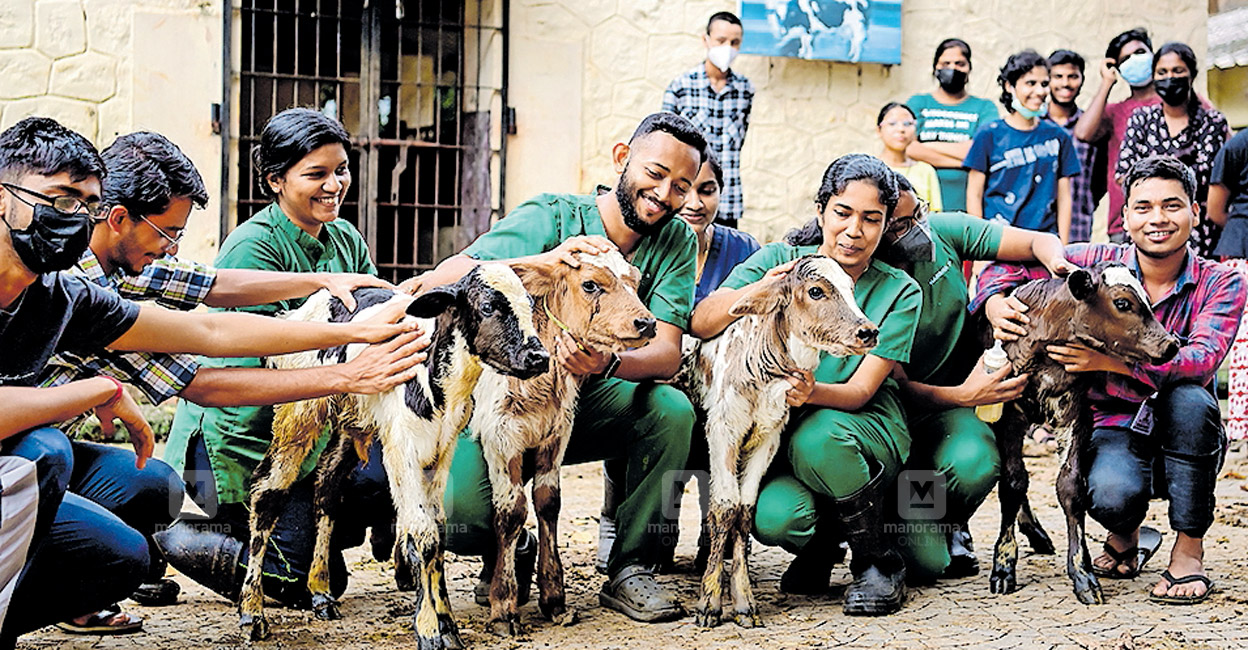 മിണ്ടാപ്രാണികളെ പട്ടിണിക്കിട്ടും പരിചരിക്കാതെയും മിന്നൽ സമരം; ഓടിയെത്തി