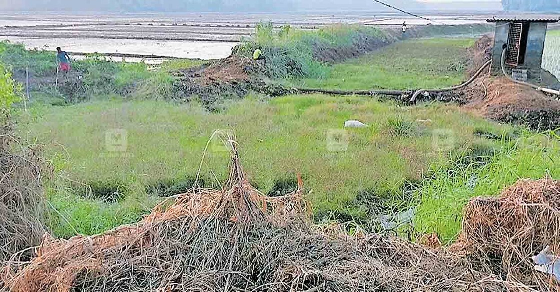 പാഴ്ചെടികളും പായലും നിറഞ്ഞു കിടക്കുന്ന പഴഞ്ഞി ചിറ്റംകുളം.  