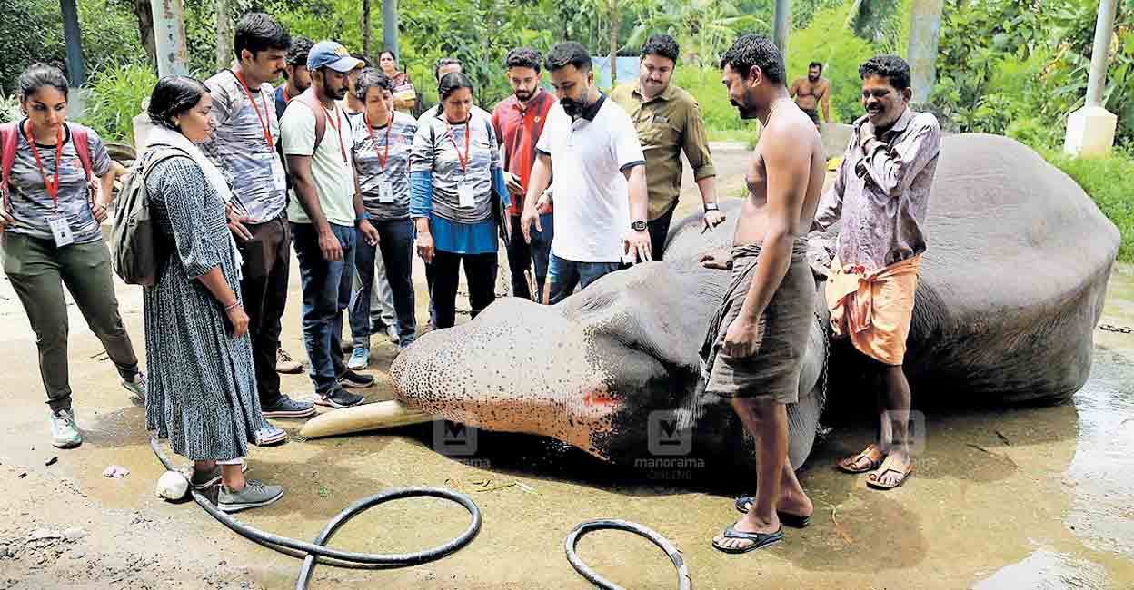 ആനപഠനം, തൊട്ടറിഞ്ഞ്