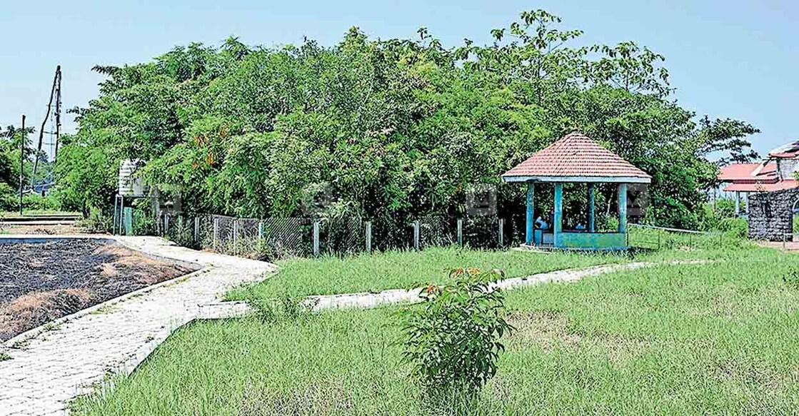 thrissur-beach-forest