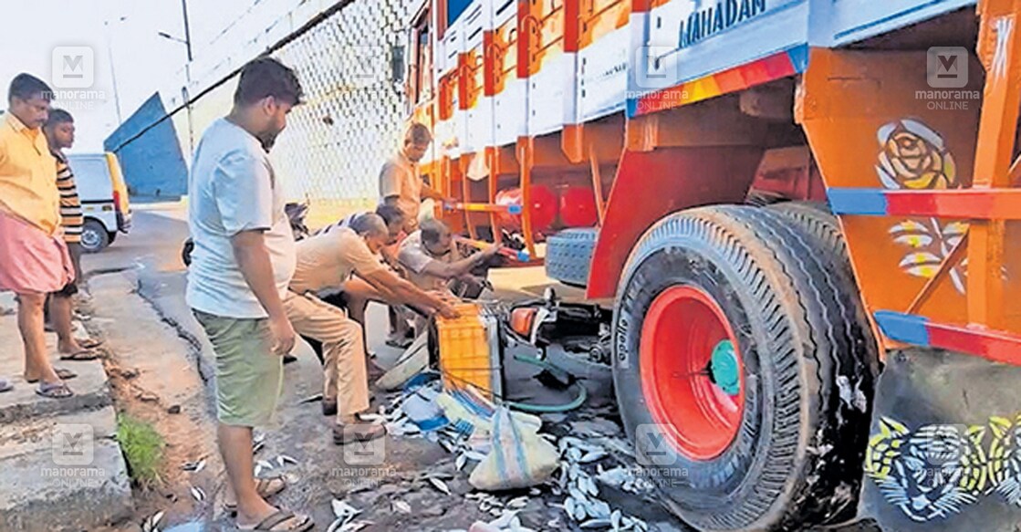ചാലക്കുടി അടിപ്പാതയ്ക്കു സമീപം ലോറി ഇടിച്ചുണ്ടായ അപകടത്തിൽ ലോറിക്കടിയിൽ കുടുങ്ങി തകർന്ന ബൈക്ക് പുറത്തെടുക്കുന്ന പൊലീസ് ഉദ്യോഗസ്ഥർ. ബൈക്കിലെ പെട്ടിയിലുണ്ടായിരുന്ന മീൻ റോഡിൽ ചിതറി കിടക്കുന്നതും കാണാം