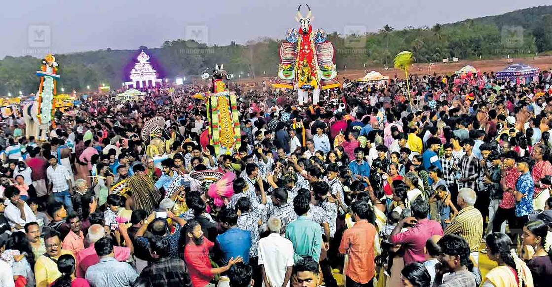 അന്തിമഹാകാളൻ വേലയോട് അനുബന്ധിച്ചു വിവിധ ദേശങ്ങളിൽ നിന്നു പൂതൻ തിറയുടെ അകമ്പടിയോടെ ക്ഷേത്രത്തിലേക്ക് എത്തുന്ന ദേശക്കാളകൾ.  ചിത്രം: ഉണ്ണി കോട്ടക്കൽ / മനോരമ