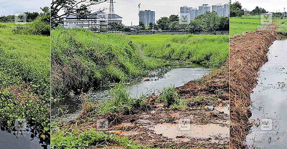 പുഴയ്ക്കൽ എംഎൽഎ റോഡിലുള്ള കാനകളുടെ അവസ്ഥ.  