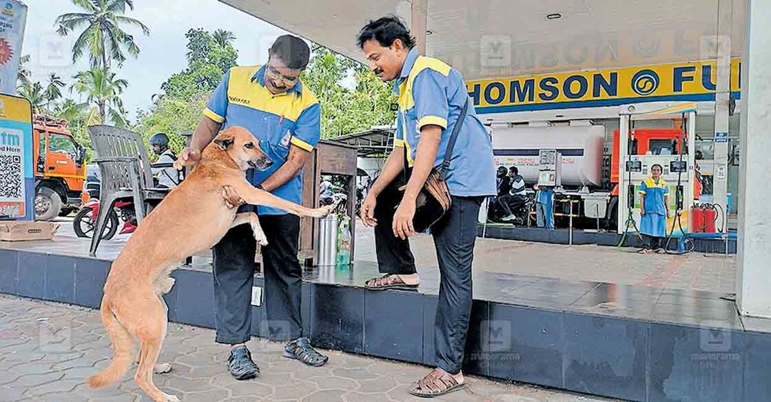 കൊമ്പൊടിഞ്ഞാമാക്കൽ പമ്പിലെ തെരുവുനായയായ കൈസറിനെ ലാളിക്കുന്ന തൊഴിലാളികളായ സുരേന്ദ്രനും, ഷാന്റോയും .  
