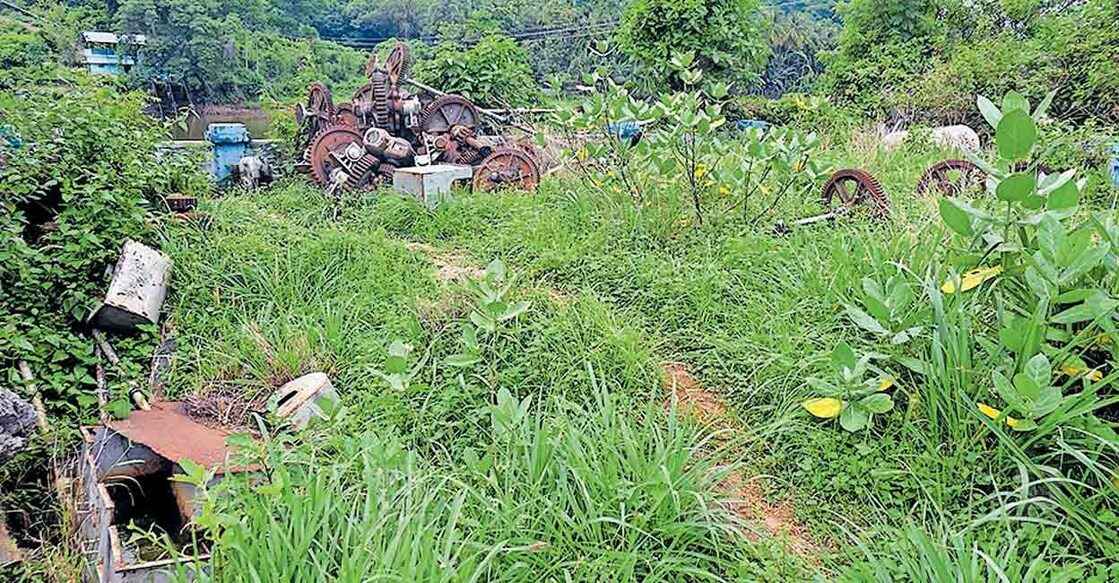 പഴയന്നൂർ ചീരക്കുഴി റഗുലേറ്ററിനു സമീപം സന്ദർശകർക്കു തടസ്സമായി കാടുകയറി കിടക്കുന്ന പഴയ യന്ത്ര ഭാഗങ്ങൾ  