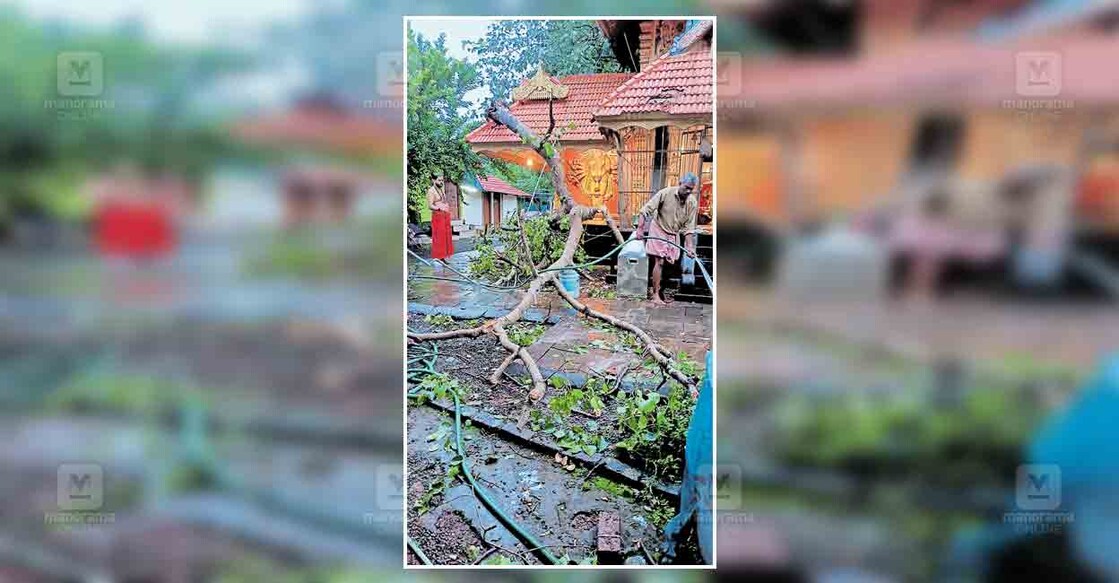 തൂവാന്നൂർ പാലത്തും ഭഗവതി ക്ഷേത്രത്തിലെ ആൽമരക്കൊമ്പ് കാറ്റിൽ ക്ഷേത്രത്തിനു മുകളിലേക്ക് പൊട്ടിവീണപ്പോൾ. 