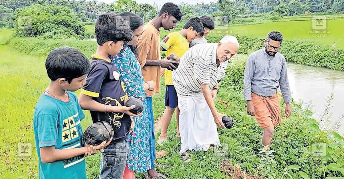 തൃശൂര്‍ ജില്ലയില്‍ പ്രവേശിച്ച പരിസ്ഥിതി പ്രവര്‍ത്തകനായ രാജേഷ് നന്ദിയംകോടിന്റെ നേതൃത്വത്തിലുള്ള വിത്തു യാത്ര തളി വിരുട്ടാണം ക്ഷേത്രത്തിനു സമീപമുള്ള കൈത തോട് വരമ്പില്‍ കരിമ്പന വിത്ത് പാകി വിരുട്ടാണം ക്ഷേത്രം അടികള്‍ വികെഎസ് അടികള്‍ ഉദ്ഘാടനം ചെയ്യുന്നു.  
