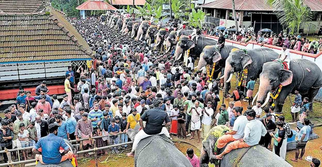 കുന്നംകുളം കിഴൂർ കാർത്യായനി ക്ഷേത്രത്തിൽ നടന്ന ആനയൂട്ട്.  
