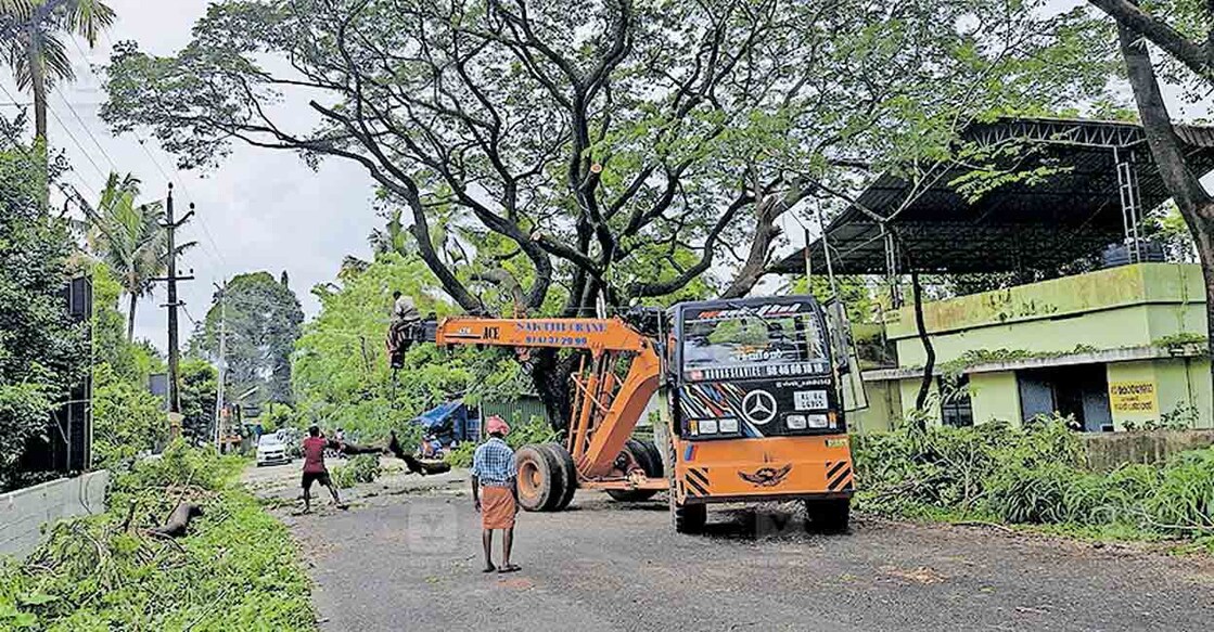 യാത്രാതടസ്സവും അപകടാവസ്ഥയുമുണ്ടായതിനെ തുടർന്ന് മേലൂർ–കുന്നപ്പിള്ളി റോഡിൽ വിഇഒ ഓഫിസിനു മുൻപിൽ തണൽമരത്തിന്റെ ചില്ലകൾ മുറിച്ചു നീക്കിയപ്പോൾ. ഒന്നര വർഷം മുൻപ് ഇവ മുറിച്ചു മാറ്റാൻ തീരുമാനമായെങ്കിലും ഇപ്പോഴാണ് നടപടിയുണ്ടായത്. 