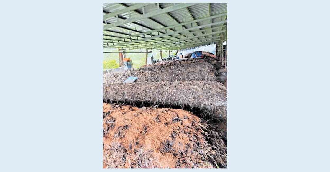 


ശക്തൻ ജൈവ വള ഉൽപാദനകേന്ദ്രത്തിൽ കെട്ടിക്കിടക്കുന്ന ജൈവമാലിന്യം  

