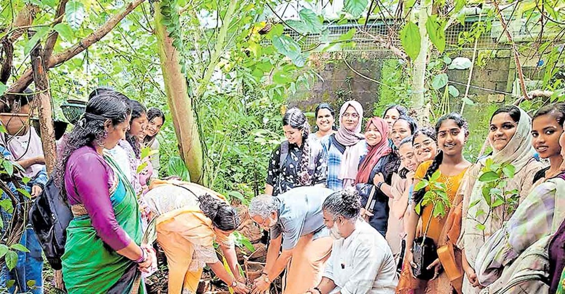 മുരിങ്ങൂർ സഞ്ജീവനത്തിൽ ഒരുക്കുന്ന സുഗത സൂക്ഷ്മവനം പരിസ്ഥിതി പ്രവർത്തകൻ വനമിത്ര സുരേഷ് രക്തചന്ദനത്തൈ നട്ട് ഉദ്ഘാടനം ചെയ്യുന്നു. 
