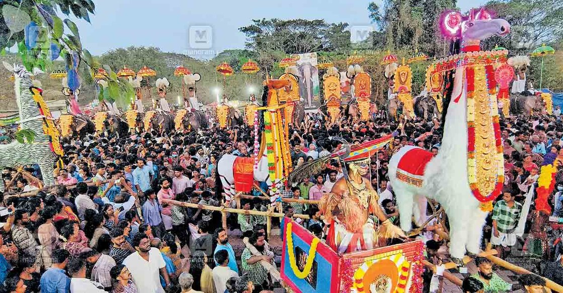 ചെറുതുരുത്തി കോഴിമാംപറമ്പ് പൂരാഘോഷത്തിനോടനുബന്ധിച്ച് നടന്ന കൂട്ടിയെഴുന്നള്ളിപ്പിനിടയിൽ പാക്കനാർ കോമരങ്ങളും കാള വേലകളും വണങ്ങാൻ എത്തിയപ്പോൾ.  
