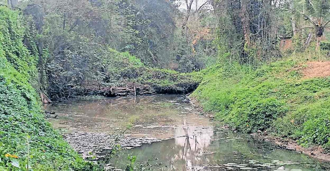 മാലിന്യം നിറഞ്ഞും മുളങ്കൂട്ടങ്ങൾ വീണും ഒഴുക്ക് തടസ്സപ്പെട്ട എളവള്ളി പഞ്ചായത്തിലെ കൊച്ചിൻ ഫ്രോണ്ടിയർ തോട്.  
