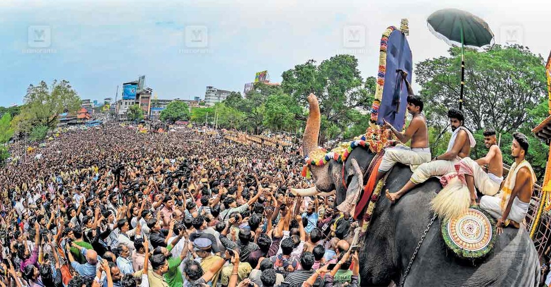 thrissur-pooram--main-2 തൃശൂർ പൂരവിളംബര ചടങ്ങിൽ നെയ്തലക്കാവ് ഭഗവതിയുടെ തിടമ്പേറ്റി വടക്കുന്നാഥ ക്ഷേത്രത്തിന്റെ തെക്കേഗോപുര വാതിലിലൂടെ പുറത്തേക്ക് വരുന്ന കൊമ്പൻ എറണാകുളം ശിവകുമാർ.
ചിത്രം:
വിഷ്ണു വി. നായർ /
മനോരമ