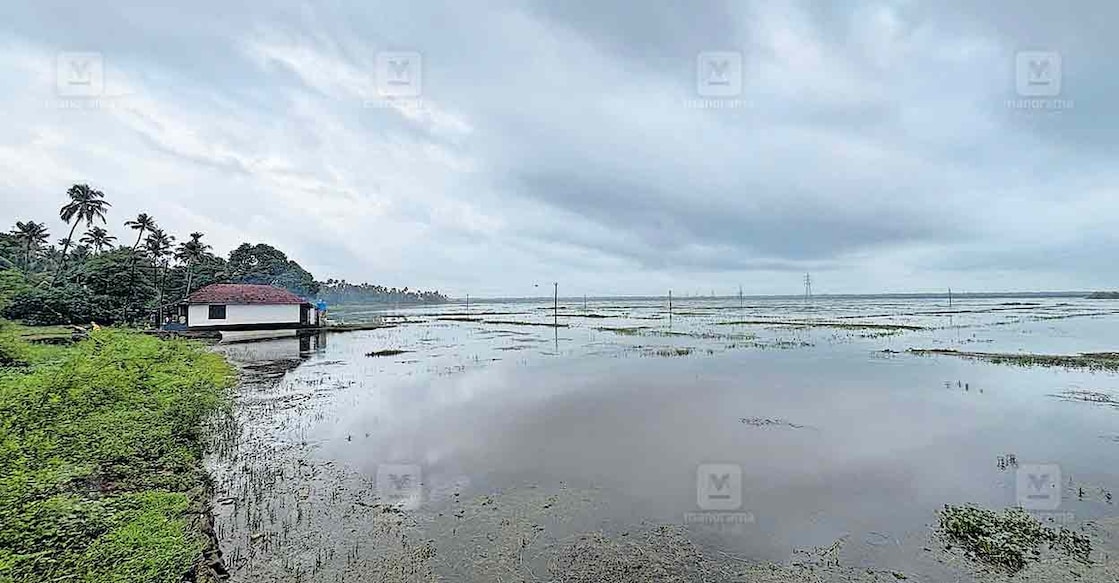 cherppu-eco-tourism മഴവെള്ളം നിറഞ്ഞു കിടക്കുന്ന ചേനം പടവ്. ഇവിടെയാണ് കുട്ടവഞ്ചികളും കയാക്കിങ് സൗകര്യവും ഏർപ്പെടുത്തുന്നത്.