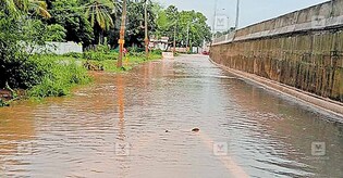ദേശീയപാതയിലെ വെള്ളക്കെട്ട് ദുരിതത്തിന് ഒരു വയസ്സ്; അൻപതോളം കുടുംബങ്ങളുടെ ദുരിതത്തിനു പരിഹാരമായില്ല