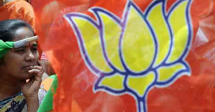 BJP flag BJP flag