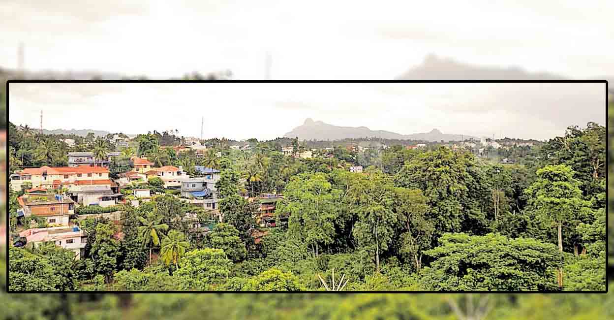 ബത്തേരിയെ കുരുക്കാൻ ഒടുവിൽ ബഫർസോണും Buffer Zone Wayanad News