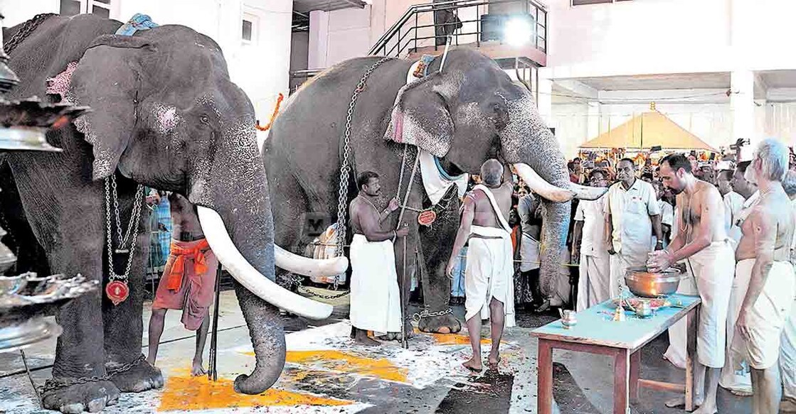 വിനായക ചതുർഥിയോടനുബന്ധിച്ച് ബത്തേരി മഹാഗണപതി ക്ഷേത്രത്തിൽ നടന്ന ആനയൂട്ടിൽ നിന്ന് 