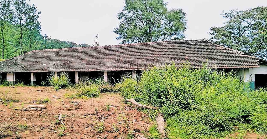 wayanad-lp-schoool