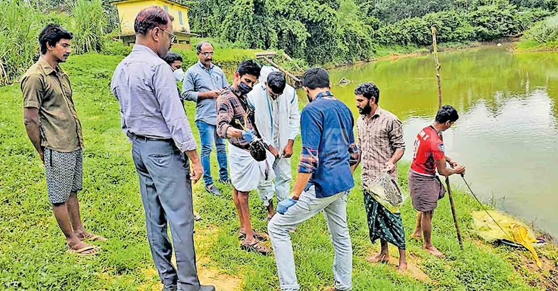 പനമരം കൊറ്റില്ലത്തിൽ ചത്തുവീണ ദേശാടനപ്പക്ഷികളെ ജില്ലാ 
ചീഫ് വെറ്ററിനറി ഓഫിസർ ഡോ.കെ. ജയരാജിന്റെ നേതൃത്വത്തിലുള്ള സംഘം പരിശോധിക്കുന്നു.  
 