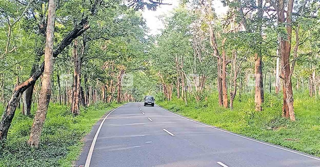 wayanad-bandipur-national-park-forest-route രാത്രിയാത്രാ നിരോധനം നിലനിൽക്കുന്ന ബന്ദിപ്പൂർ വനമേഖല ഉൾപ്പെട്ട ദേശീയപാത 766