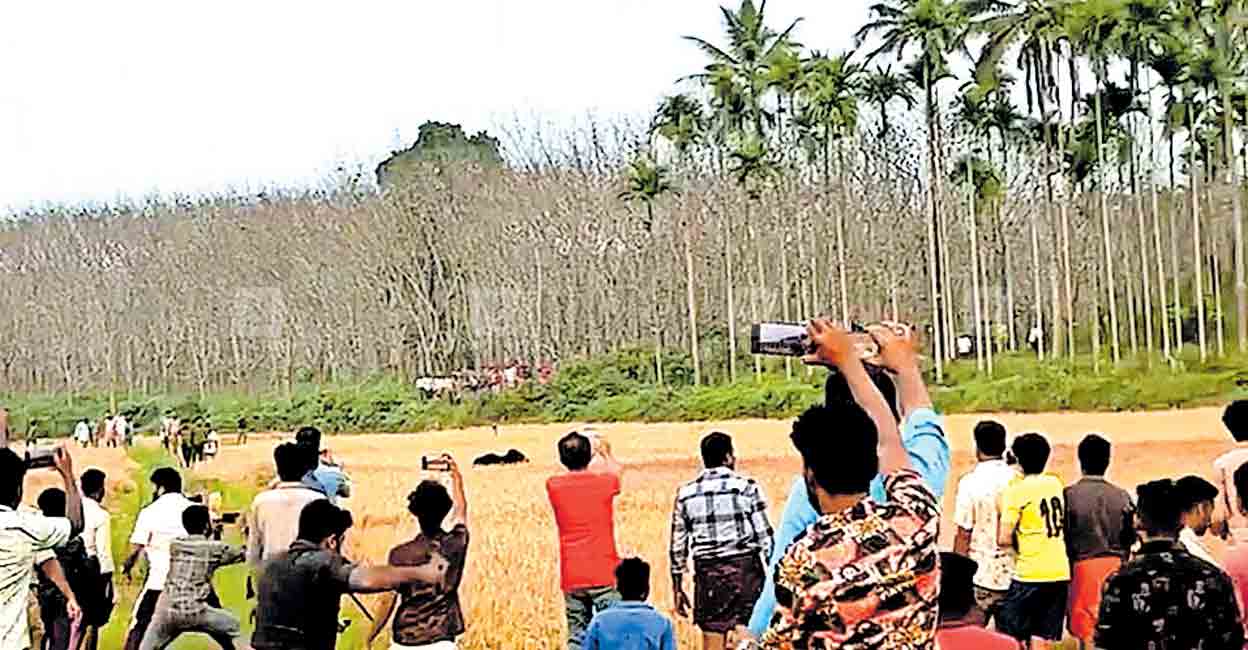 രാജൻ കണ്ടു: രണ്ടു കയ്യുയർത്തി വാ പിളർന്നു കരടി; തലനാരിഴയ്ക്ക് രക്ഷ ...