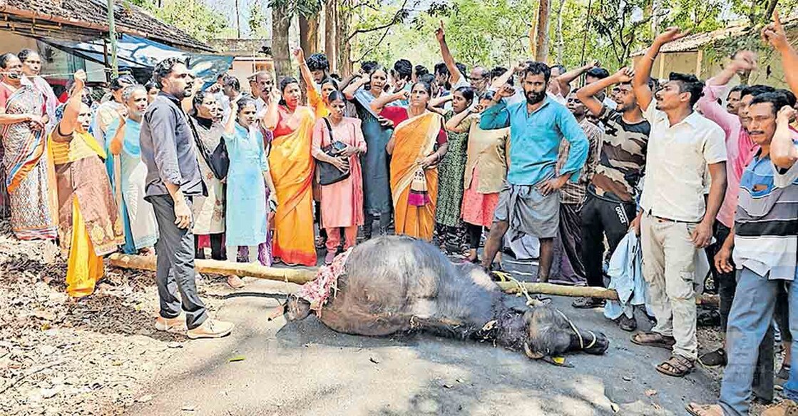 നെയ്ക്കുപ്പ വനംവകുപ്പ് ക്വാർട്ടേഴ്സിന് സമീപം നടവയൽ പുൽപള്ളി റോഡ് ഉപരോധിക്കുന്ന 
സമരക്കാർ.  
