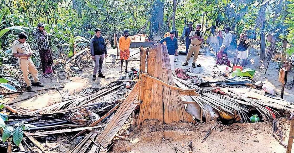 പൂതാടി പഞ്ചായത്തിലെ കേളമംഗലം കാട്ടുനായ്ക്ക കോളനിയിലെ ബിജു - സൗമ്യ ദമ്പതികളുടെ കുടിൽ കാട്ടാന തകർത്ത നിലയിൽ.  