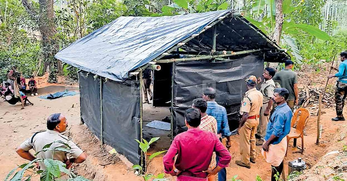 പൂതാടി പഞ്ചായത്തിലെ കേളമംഗലം കാട്ടുനായ്ക്ക കോളനിയിൽ കാട്ടാന തകർത്ത കുടിലിന് പകരം വനംവകുപ്പ് നിർമിച്ച കുടിൽ.  