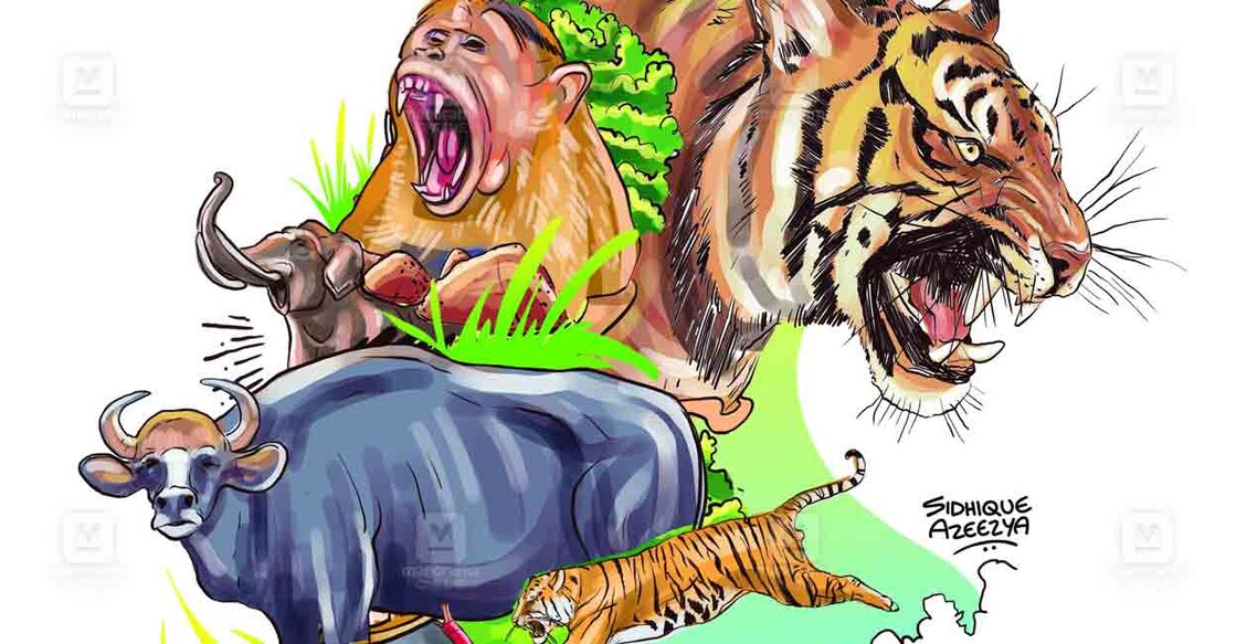 wayanad-wildlife