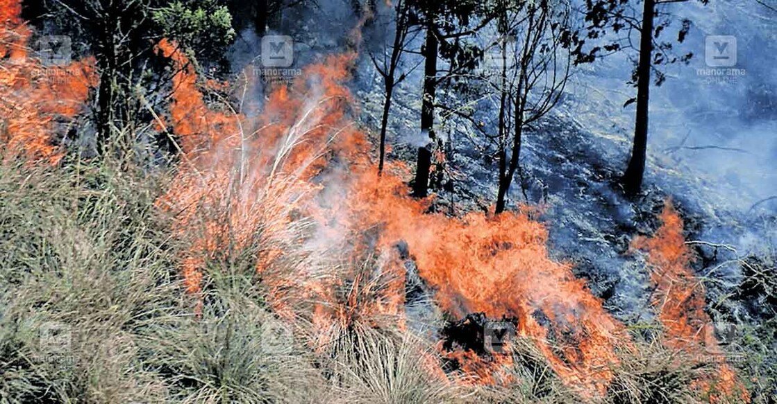 conoor-fire-accident കൂനൂരിനു സമീപം ഫോറസ്റ്റ് ഡേലിൽ ഉണ്ടായ കാട്ടുതീ.
