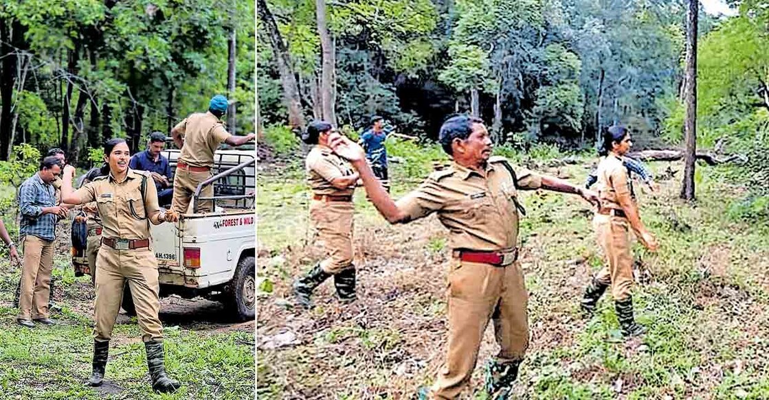 നന്നായി വാ... വയനാട് വന്യജീവി സങ്കേത്തിലെ തോട്ടാമൂല ഫോറസ്റ്റ് സെക്‌ഷൻ പരിധിയിൽ വിത്തുരുളകൾ കാട്ടിലേക്കെറിയുന്ന വനപാലക. 2. വയനാട് വന്യജീവി സങ്കേതത്തിലെ മുത്തങ്ങ ഫോറസ്റ്റ് സെക്‌ഷൻ പരിധിയിൽ വിത്തുരുളകൾ കാട്ടിലേക്ക് എറിയുന്ന വനപാലകർ