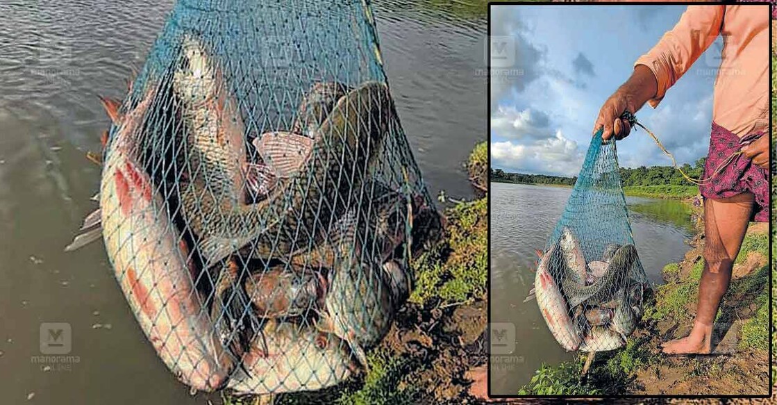 wnd-rainy-season-fishin