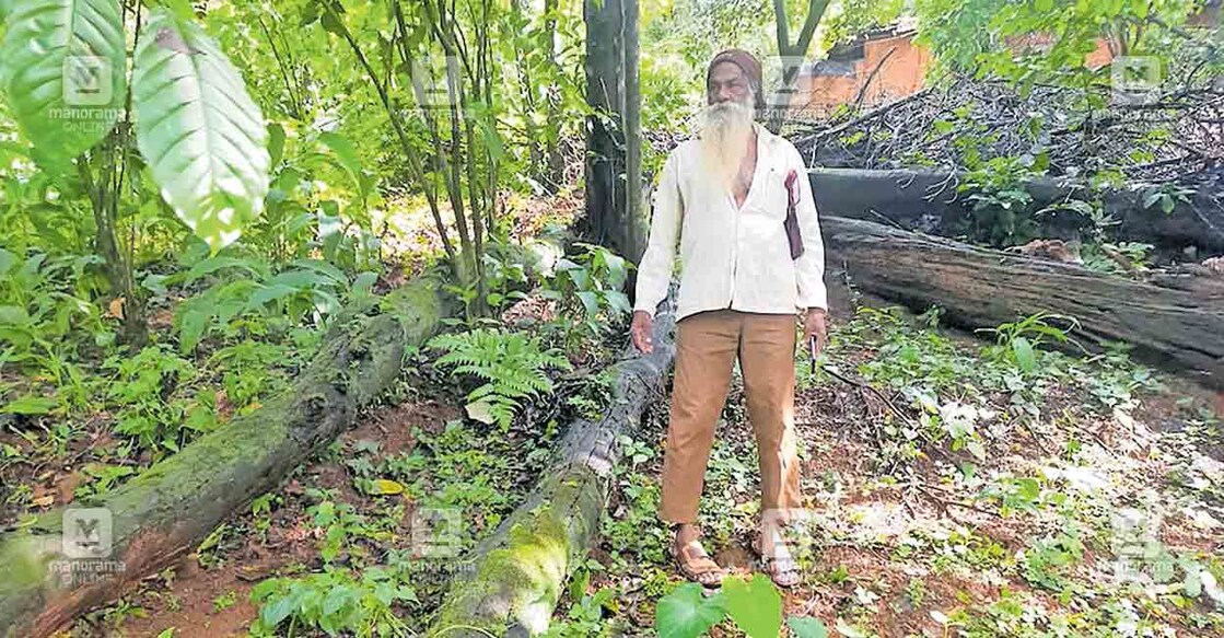 പുതിയിടം കലയത്തിങ്കൽ പ്രഭാകരൻ  തന്റെ കൃഷിയിടത്തിൽ വീണുകിടക്കുന്ന റിസർവ് ചെയ്ത മരങ്ങൾക്ക് സമീപം.  