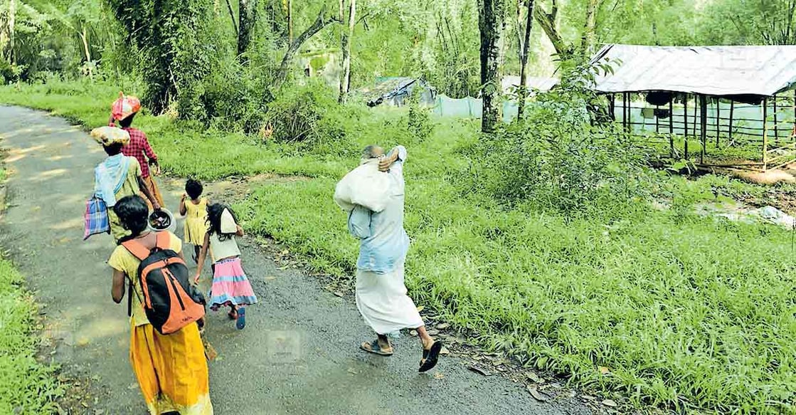 ദുരിതമൊഴിയാത്ത പലായനം... അവകാശപ്പെട്ട ഭൂമിക്കായുള്ള നിരന്തര പോരാട്ടത്തിലാണിവർ. കാറ്റും മഴയും കാട്ടുമൃഗശല്യവുമെല്ലാം നേരിട്ടുള്ള ദുരിതജീവിതം ഒരു വ്യാഴവട്ടം പിന്നിട്ടിരിക്കുന്നു. തങ്ങൾ ജനിച്ചു വളർന്ന ഭൂമിയിൽ എന്നെങ്കിലുമൊരിക്കൽ അവകാശം പുനസ്ഥാപിക്കാനാകുമെന്ന പ്രത്യാശ മാത്രമാണ് ഓരോ ദിനവും തള്ളിനീക്കാൻ അവർക്കുള്ള പ്രേരണ. കാട്ടാനയും കാറ്റും മഴയുമെല്ലാം ഷെ‍ഡ് തകർക്കുമ്പോൾ പുതിയൊരെണ്ണം പണിയുന്നതു വരെ ഭൂസമരക്കാർക്ക് മറ്റു ഷെഡ‍ുകൾ മാത്രമാണ് ആശ്രയം. ആർത്തലച്ച് പെയ്തൊഴിഞ്ഞ മഴയ്ക്ക് ശേഷം ഉള്ളതെല്ലാം പെറുക്കിക്കൂട്ടി മറ്റൊരിടം തേടി പോകുന്ന ഗോത്രകുടുംബം. മരിയനാട് സമരഭൂമിയിൽ നിന്നുള്ള കാഴ്ച.  ചിത്രം: ധനേഷ് അശോകൻ /മനോരമ