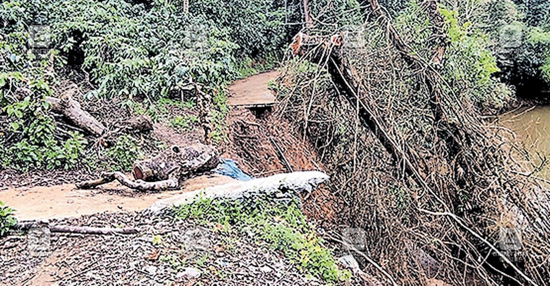 village-road-destroy പിണങ്ങോട് പുഴയ്ക്കൽ–പീസ് വില്ലേജ് റോഡ് തകർന്ന നിലയിൽ.