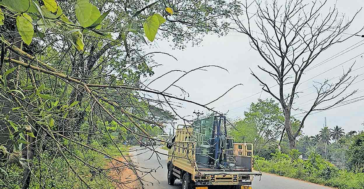 റോഡരികിലെ ഉണങ്ങിയ മരങ്ങൾ മുറിച്ചുനീക്കാത്തതിൽ പ്രതിഷേധം | Panamaram ...