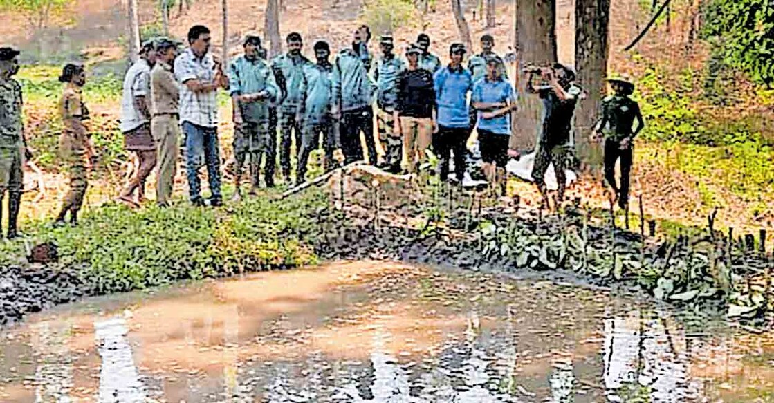 ഇരുളം വനത്തിലെ മൂന്നാനക്കുഴിയിൽ വന്യമൃഗങ്ങൾക്കു കുടിവെള്ളത്തിനു തയാറാക്കിയ കുളം.  
