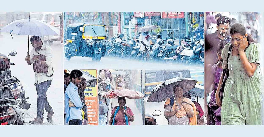 ഹായ്, ഹോയ്.. മഴ
ഇന്നലെ വൈകിട്ട് ജില്ലയിൽ പരക്കെ വേനൽമഴ കിട്ടി. വരൾച്ച കനക്കുമോ എന്ന ആശങ്കകൾക്കിടെയാണ് വേനൽ മഴ പെയ്തത്. കൽപറ്റ നഗരത്തിൽ നിന്നുള്ള മഴക്കാഴ്ചകൾ. ചിത്രം: മനോരമ  