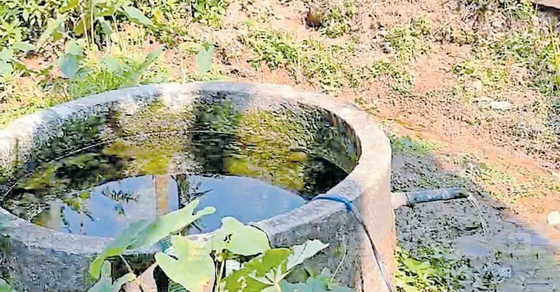 ഈസ്റ്റ് ചീരാൽ പാട്ടത്ത് ദാമോദരന്റെ കൃഷിയിടത്തിലെ നിറഞ്ഞൊഴുകുന്ന കിണർ.  