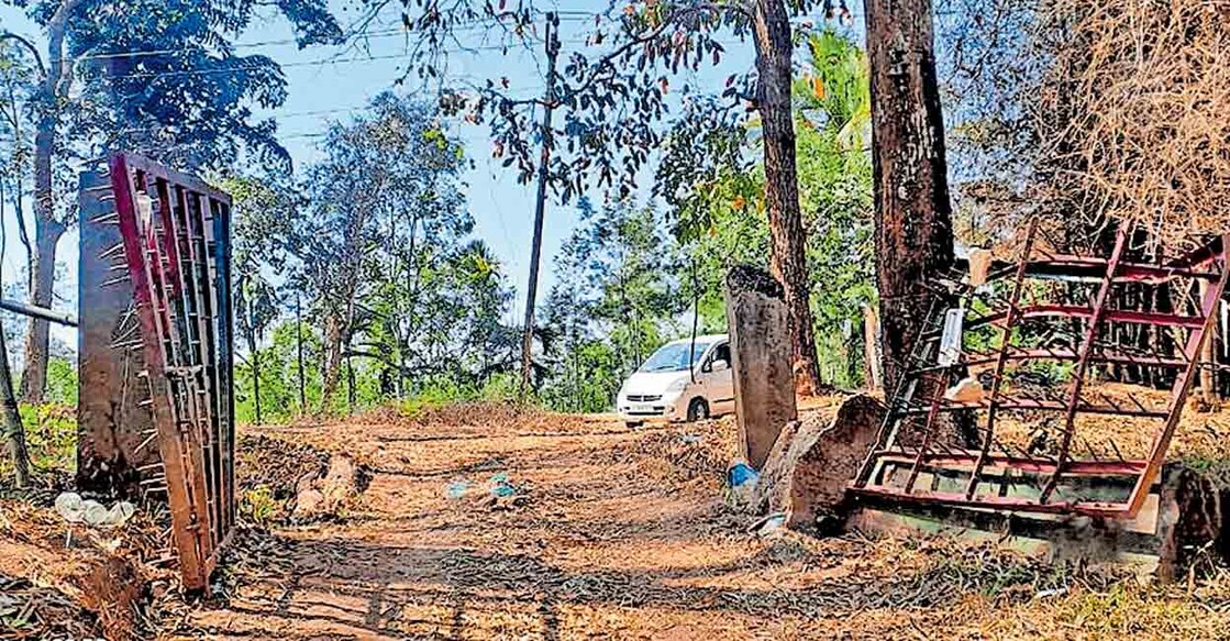 മുണ്ടക്കൊല്ലിയിൽ വനത്തിൽ നിന്ന് പുറത്തേക്ക് വരാനുള്ള ഗേറ്റ് കാട്ടാന തകർത്ത നിലയിൽ.  

