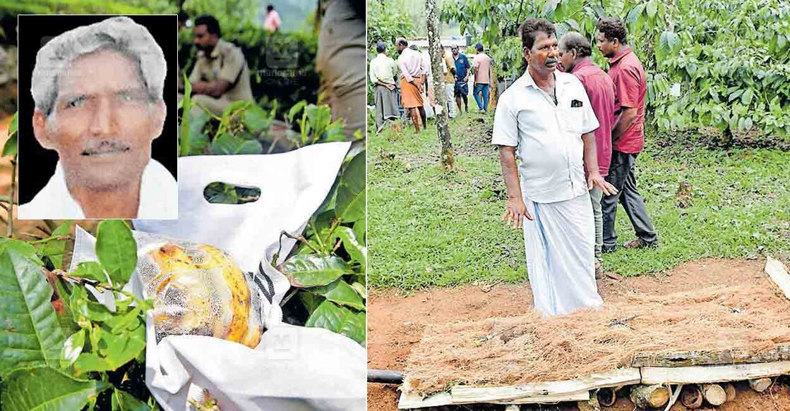 wild-elephant-attack-arumukhen-death