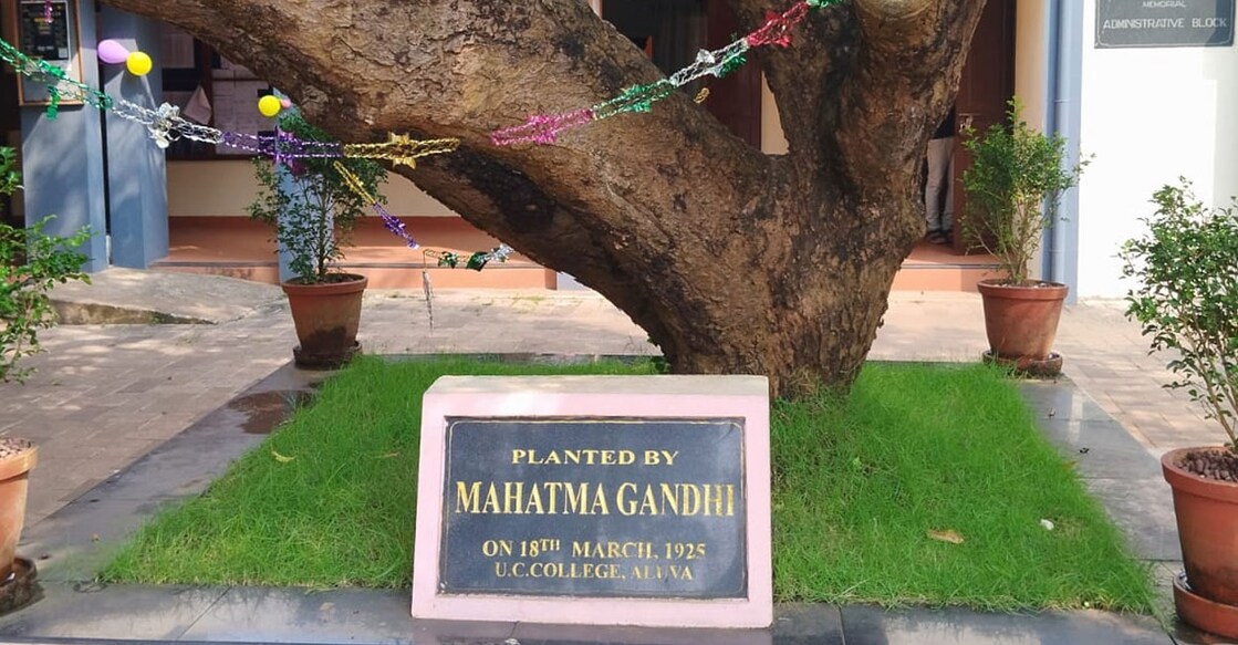 Mango Tree UC College